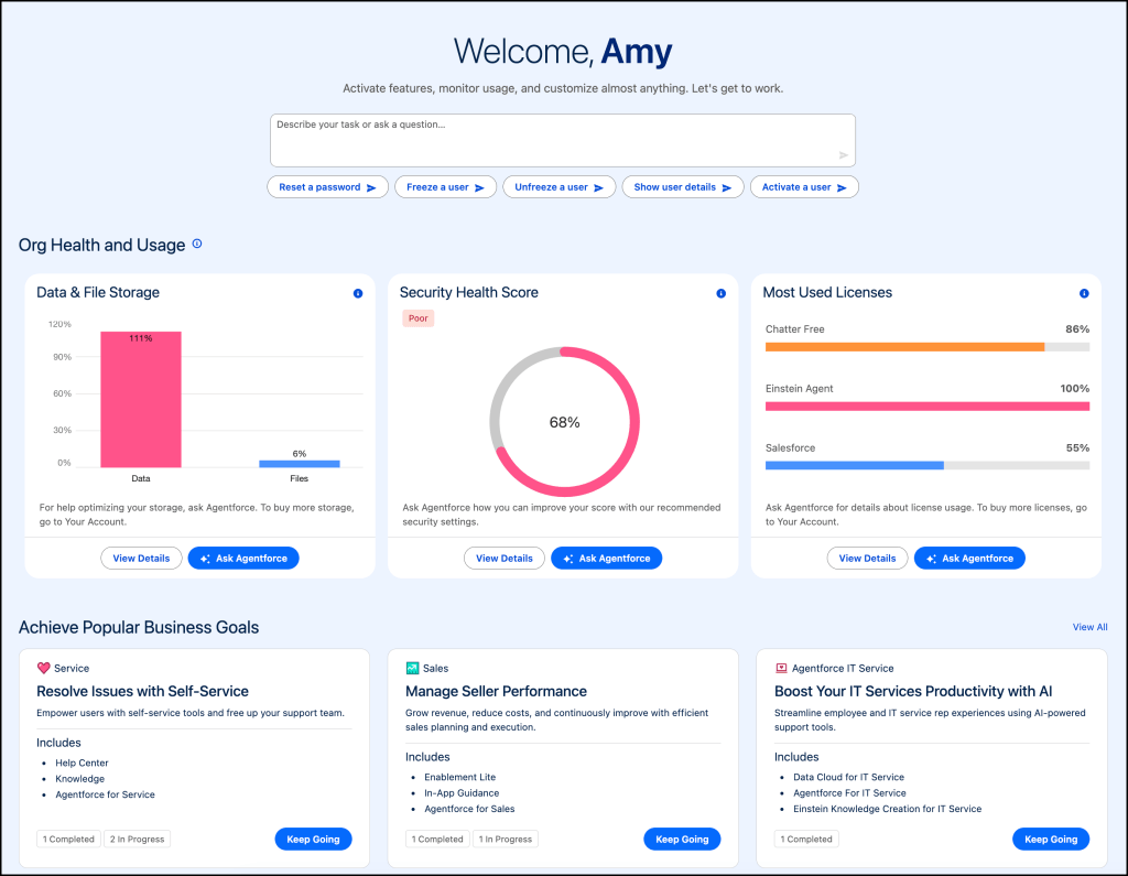 An image of Agentforce setup home