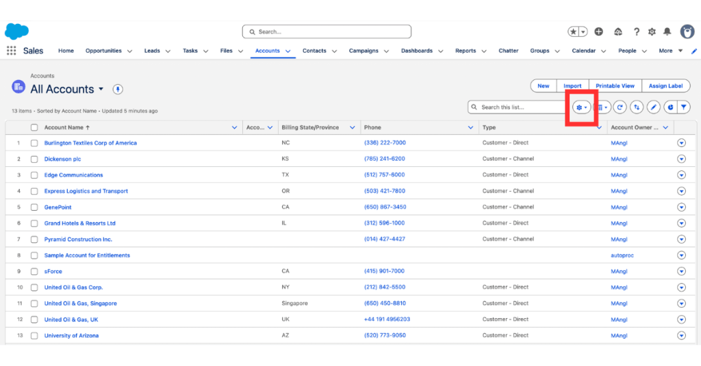 Screenshot from author's Salesforce Developer org showing the All Accounts List View with 13 records. A red box highlights the List View Controls gear icon in the toolbar above the list, indicating where to click to access options such as creating a new list view, selecting fields to display, and sharing settings.